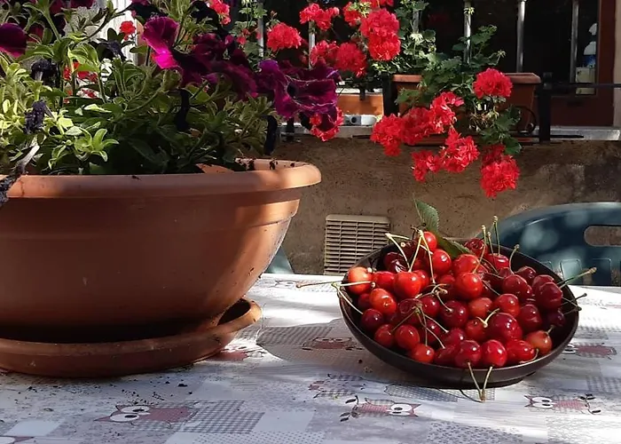 Mamma Ari Oda ve Kahvaltı 4*